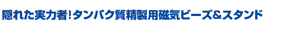 タンパク質精製磁気ビーズ