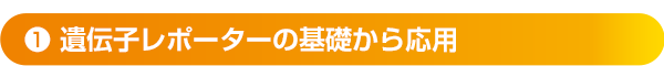 ❶遺伝子レポーターの基礎から応用