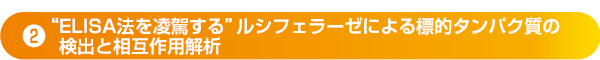 ❷“ELISA法を凌駕する”ルシフェラーゼによる標的タンパク質の検出と相互作用解析