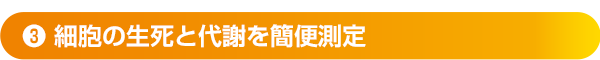 ❸細胞の生死と代謝を簡便測定